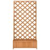 Planter with Trellis Brown Solid Wood Fir