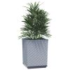 Planters 2 pcs Light Gray 11.8"x11.8"x14.6" Polypropylene