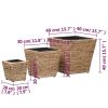 Raised Beds 3 pcs Water Hyacinth